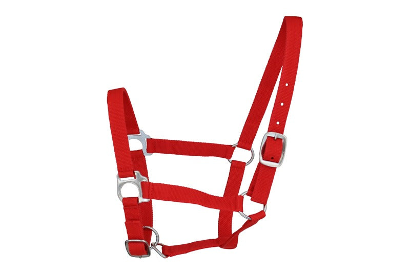 Standard Nylon Halters in Red