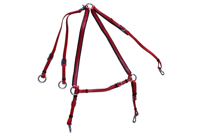 Running Martingale in Red