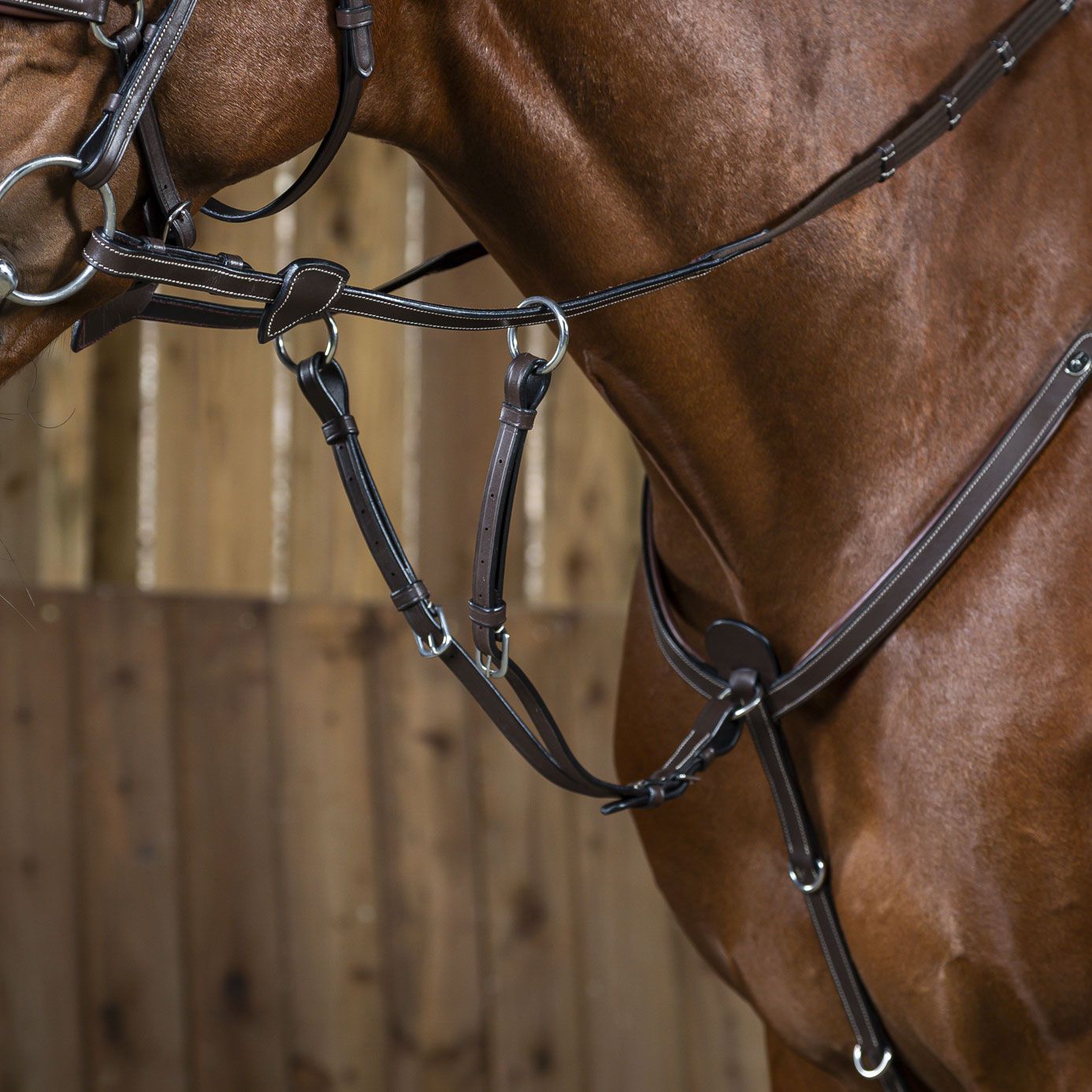 Leather Martingale horse