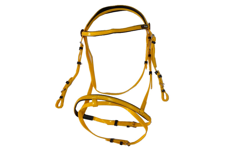 Status PVC Bridle with Reins