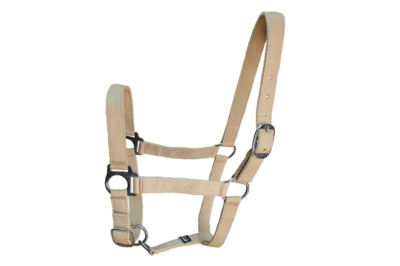 Standard Nylon Halters in Beige