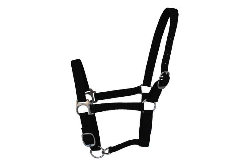 Standard Nylon Halters in Black