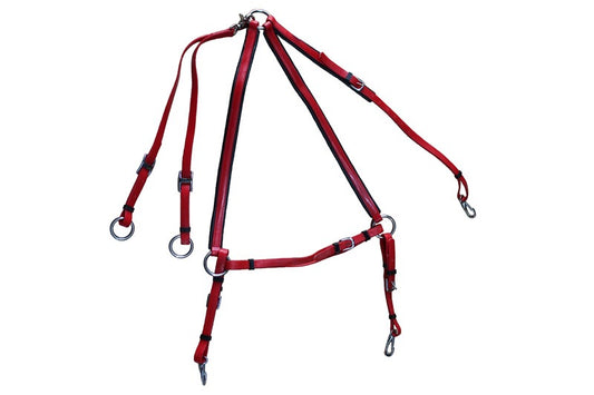 Running Martingale in Red
