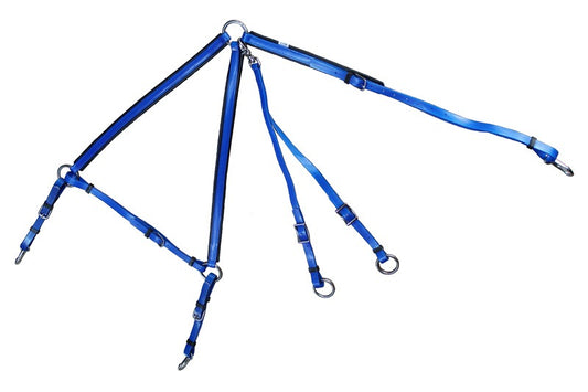 Running Martingale in Blue